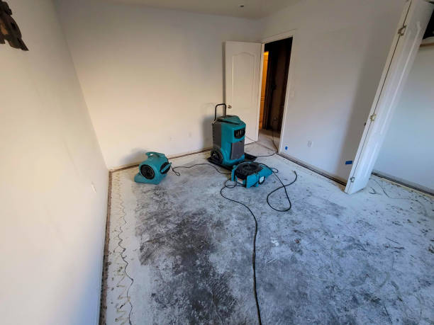 Best 24/7 water damage repair  in Manchester, PA