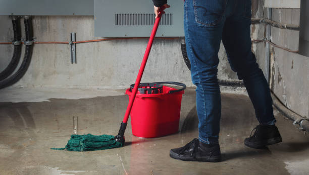 Best Carpet water damage restoration  in Manchester, PA