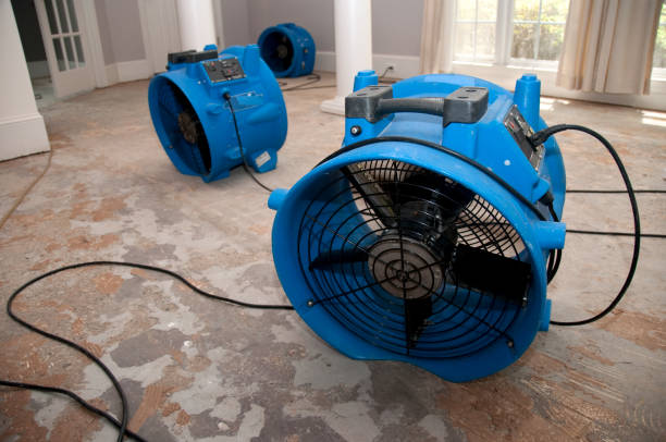 Best Water damage cleanup near me  in Manchester, PA