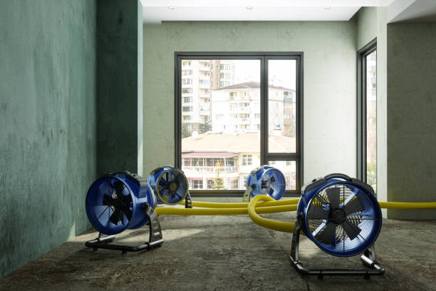 Best Water damage restoration experts  in Manchester, PA