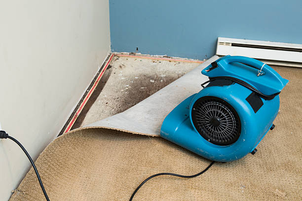 Best Basement water damage restoration  in Manchester, PA